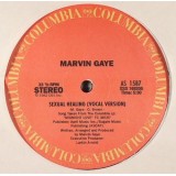 Marvin Gaye - Sexual Healing 12" 