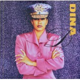 Dina D - Never Seen A Rapper Like This LP Dina D - Never Seen A Rapper Like This LP