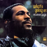 Marvin Gaye - What´s Going On LP (vinil colorido)