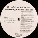 Sunshine Anderson - Something I Wanna Give You 12"